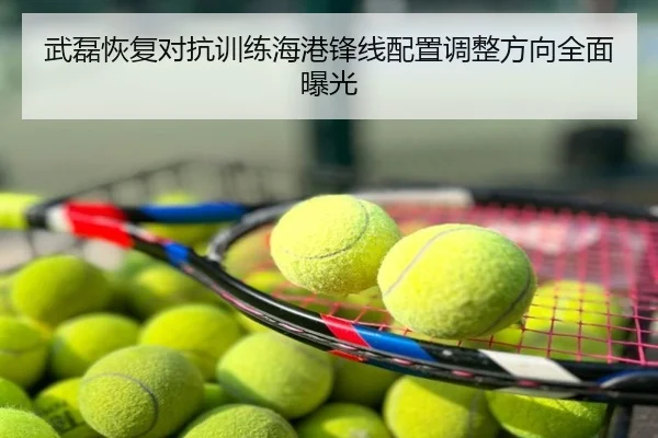 武磊恢复对抗训练海港锋线配置调整方向全面曝光